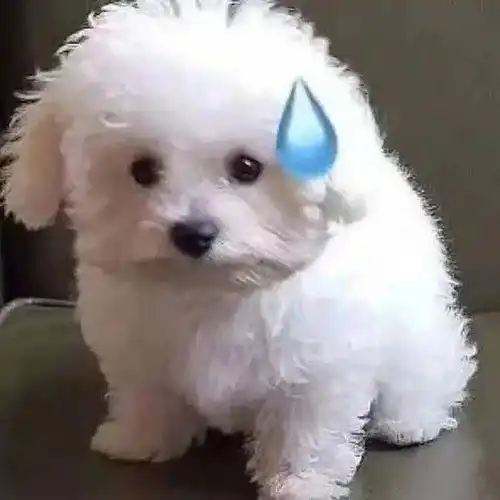  没想到这么好笑