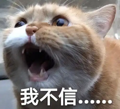  全剧男人都爱她我看烦了