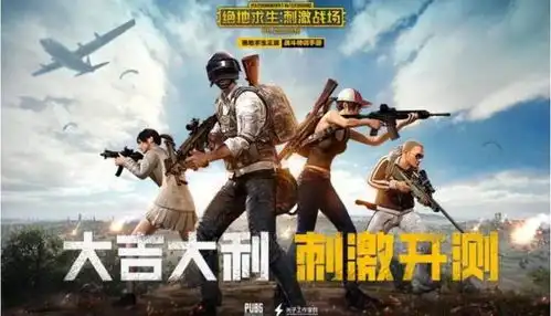  小米枪战身为米粉,为何我们最终却都选择了刺激战场