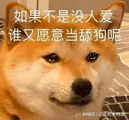  答应我,千万别做舔狗好吗关于备胎的真相,都在这里了