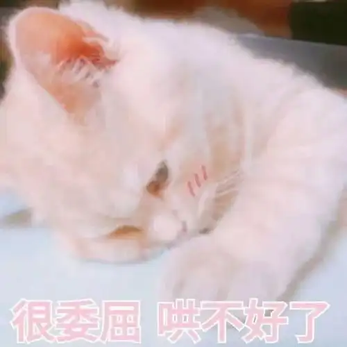  情侣撒娇撩人表情包你的江湖多远我都来