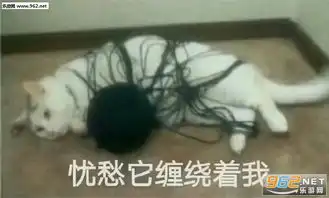 我崩溃了表情包灵儿