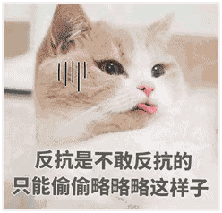 我在偷偷喜欢你表情包反