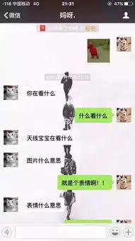  网瘾中老年人的队伍日渐壮大,你会发现他们