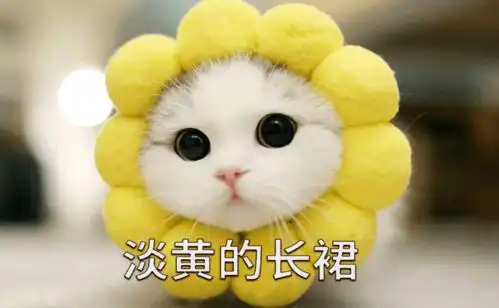  中越新鲜词淡黄的长裙,蓬松的头发mdaivangnht,maitocbngbnh