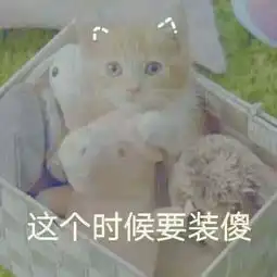 表情包人家超可爱的.