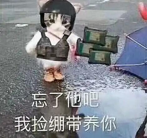  忘了他吧我捡绷带养你表情包图片忘了他吧我捡绷带养你搞笑图分享