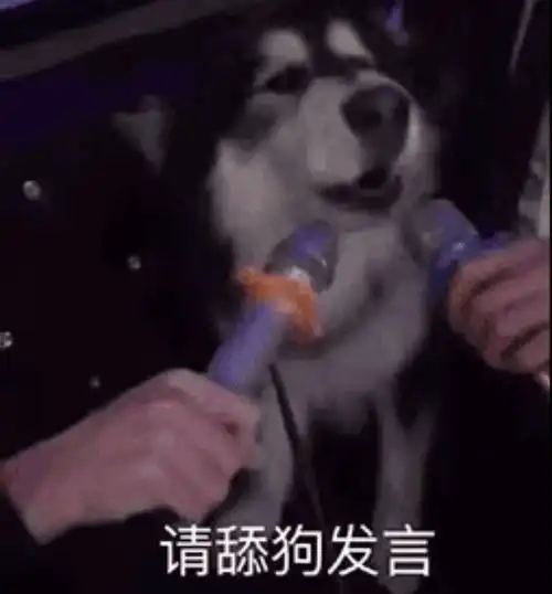  大家有可怜中透着一丝丝搞笑的舔狗语录吗