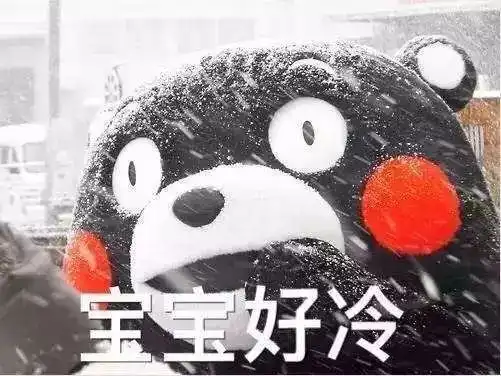 撒野表情包雪地