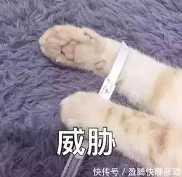  不开心了,就去林更新微博逛逛,保准你哭着进去,笑着出来