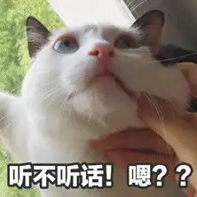  好吧今天先不买了猫表情包我要这个给我买掐猫表情包下载乐游网游戏下载