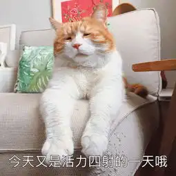  我没有不不不不不不不开心