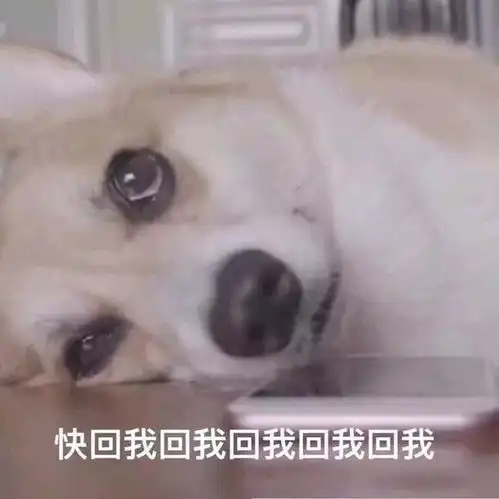  收到消息不回复的人,他们是什么心理