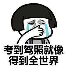  金馆长驾考搞笑表情包免费版下载金馆长驾考表情包飞翔下载