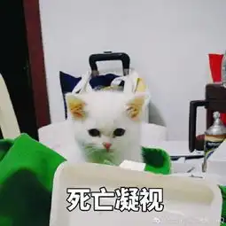  猫咪表情包你开心就好