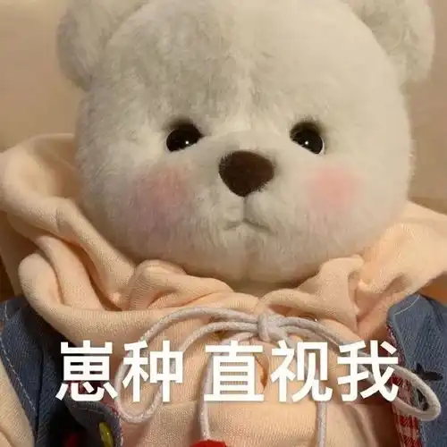  表情包崽种,直视我