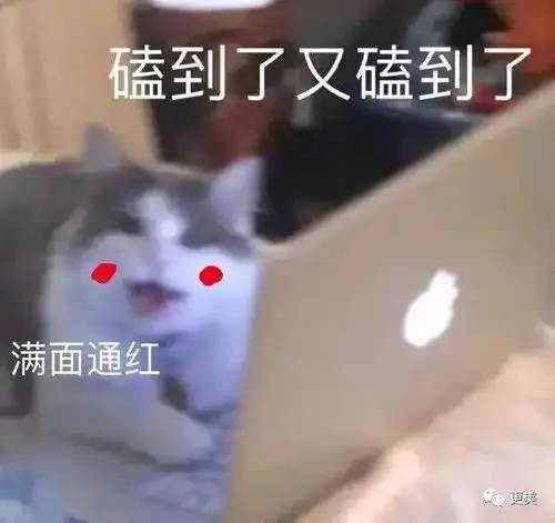 磕cp表情包博君一笑蓝湛