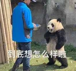 一无所有表情包熊猫