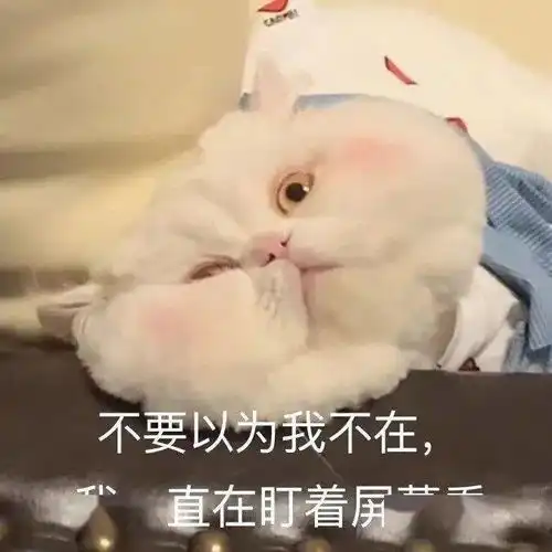  这是为啥子捏