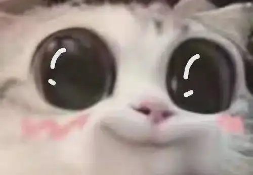  张玲医生眼部整形手术有哪些项目