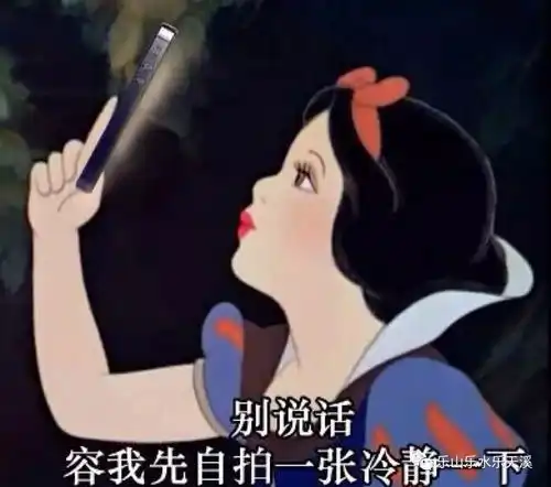 表情包战争游戏公主