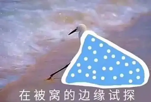 开启斗图模式表情包等到