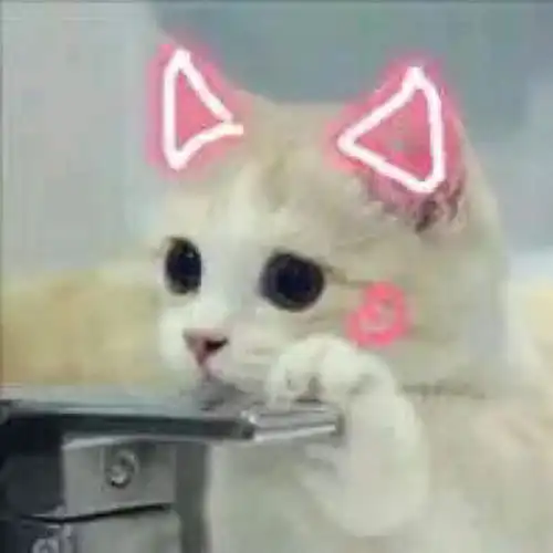  表情网红猫咪可爱表情包女人,你这是在玩火表情