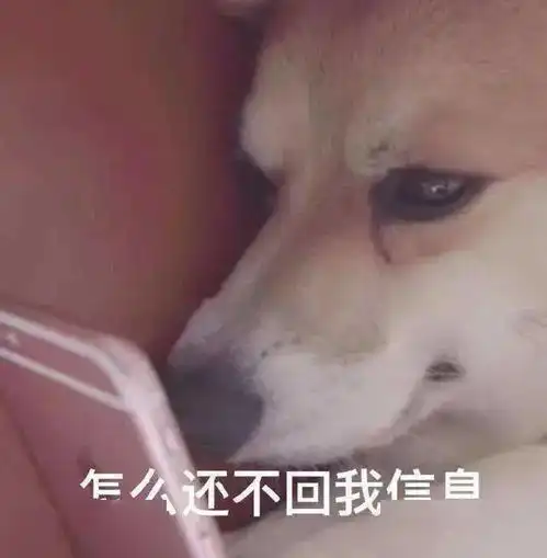  你所有可能出现的底妆问题,都在这儿了