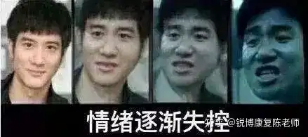 王力宏张学友表情包
