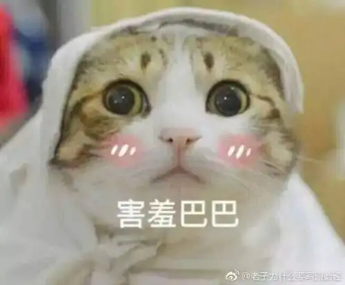  党员风采生活不止眼前的苟且