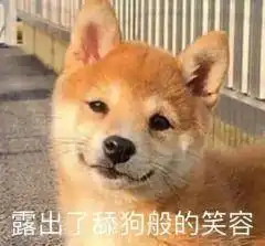  表情包露出了舔狗般的笑容