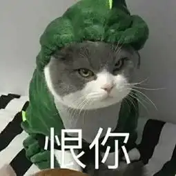  把快乐建立在猫咪的尴尬之上,这样不对但真的停不下来啊