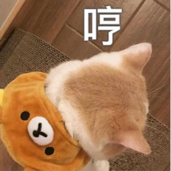  搞笑的朋友圈文案虽然我们不熟,但你可以拿钱和我套近乎