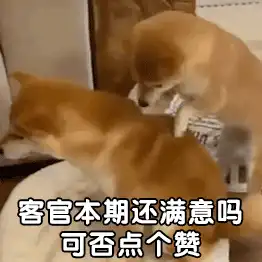  表情丨猫猫虫咖波可爱动态表情包