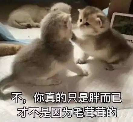  想知道你和瘦子的区别吗哈哈哈...