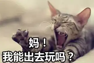 你他妈的在逗我表情包要不然