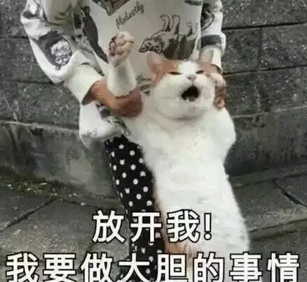  请问大家怎么看待给宠物做绝育这回事
