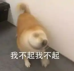  你的寒假怎么过