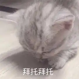 拜托表情包图片微信妈妈