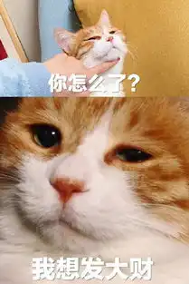  发大财表情包发大财微信表情包发大财qq表情包发表情fabiaoqing.com