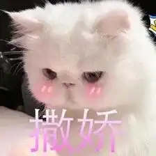 撒娇表情包图片眉毛