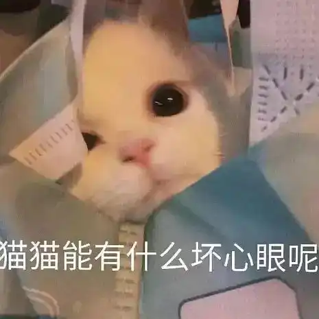  马住