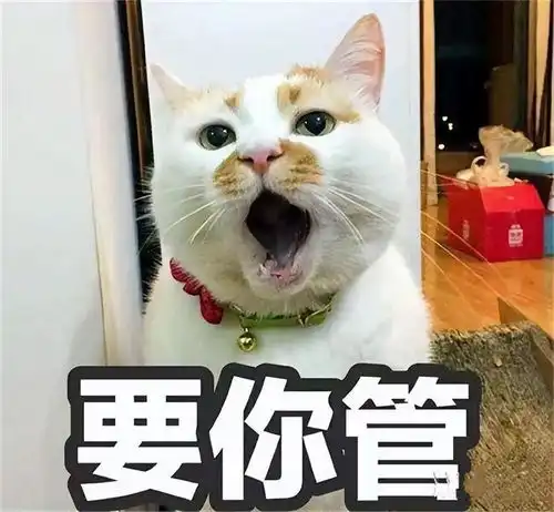  领导每天下班时间开会,零零后员工您不回家吃饭是孤儿吗