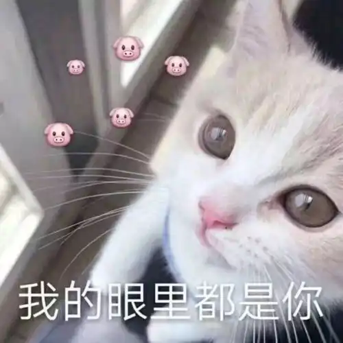  社会实践陌上花开可缓缓归矣