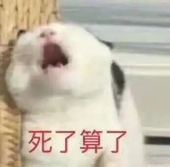 点点工作室表情包动图结