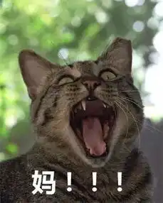  千万不要给你老妈发这个