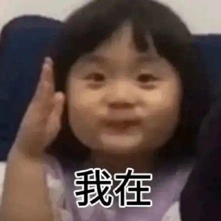 表情包保存在电脑摇头娃