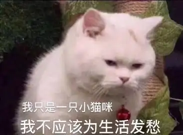  萌宠表情包我只是一只小猫咪,不该为生活发愁