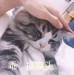  回顾来自南方的神秘力量幸福