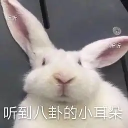  代餐的意义就在于让我们明白正餐确实是最好的